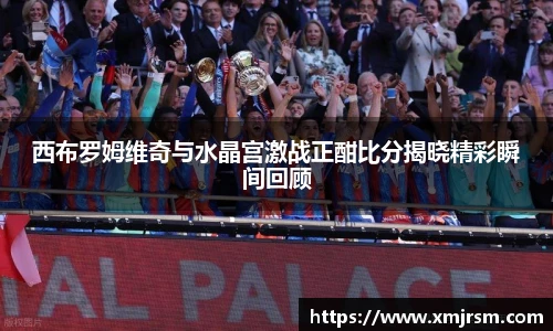 西布罗姆维奇与水晶宫激战正酣比分揭晓精彩瞬间回顾